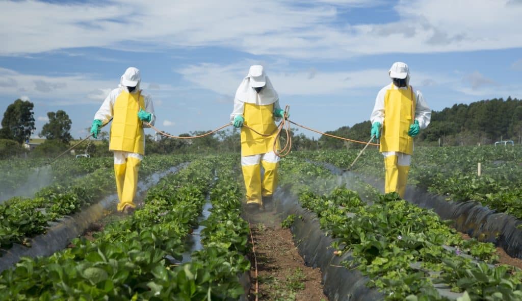 Application of pesticides in the garden with appropriate masks and clothing