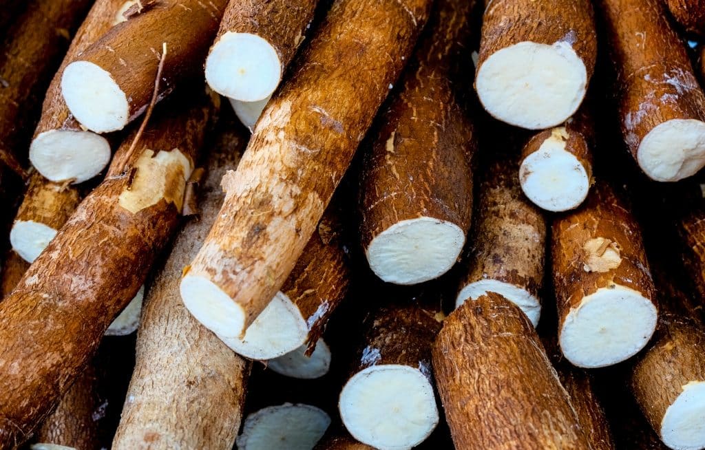 Harvested and cut cassava