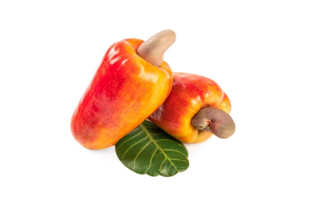 Discover 6 native Brazilian fruits