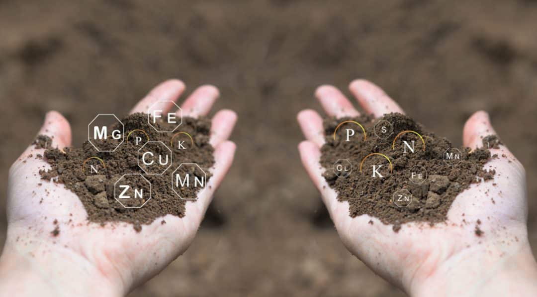 Man with pieces of soil in his hands