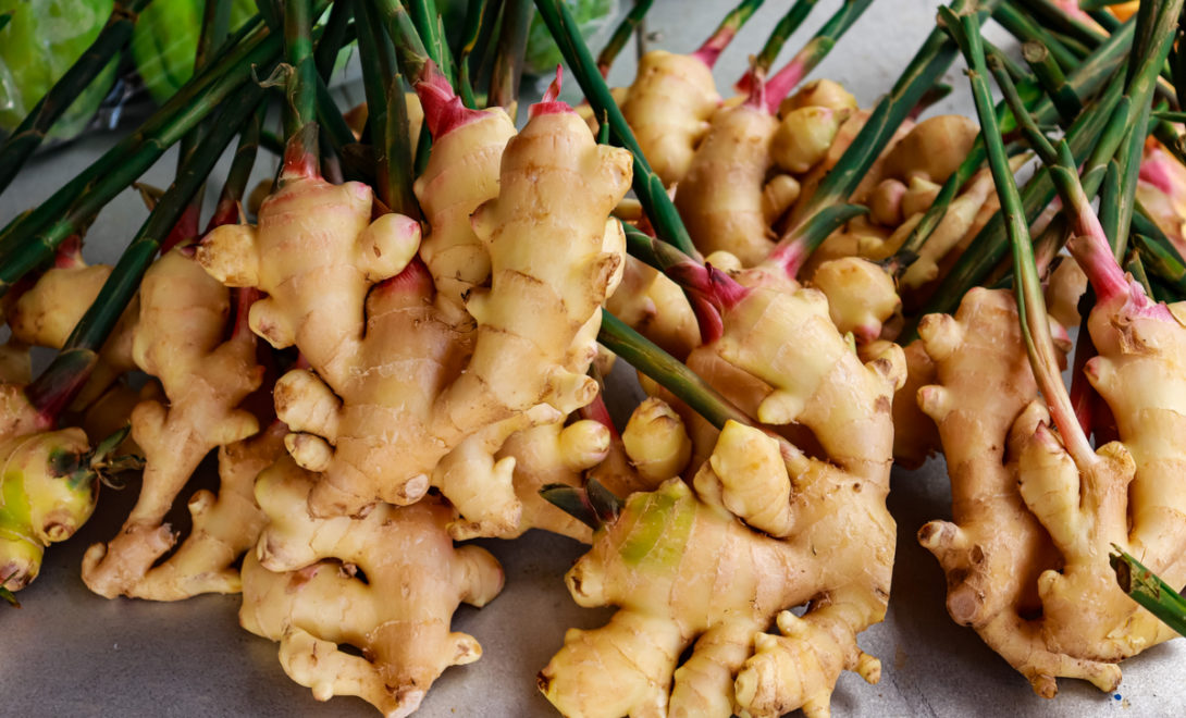 Ginger rhizomes with shoots