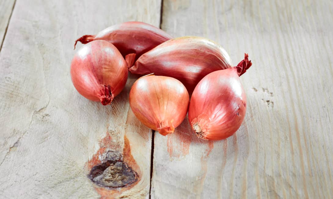 Shallot-style onions
