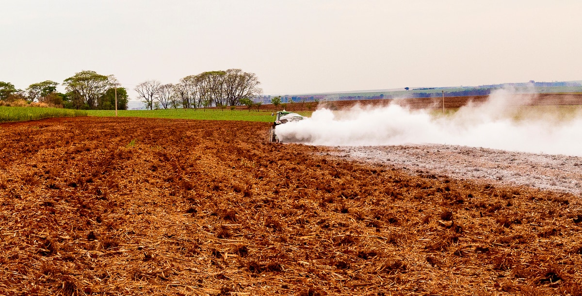 Tractor performs liming in area prepared for planting