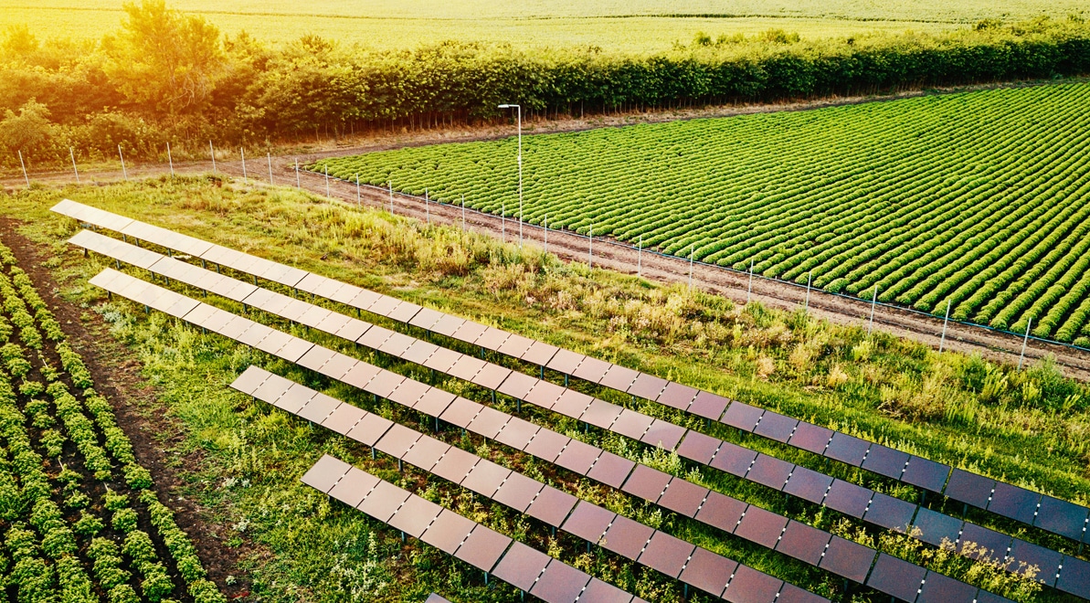 Farm with solar energy system