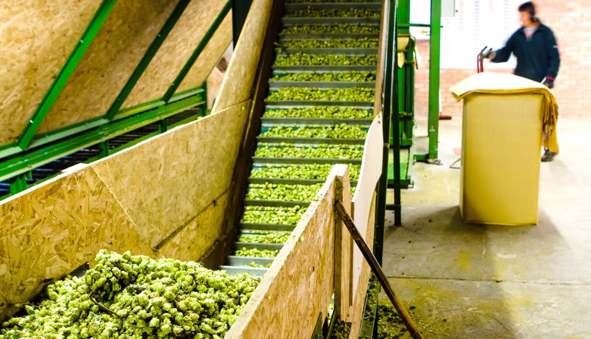 Machinery used for the industrialization of hops