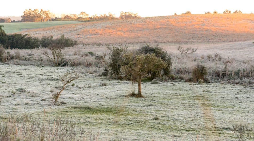 Rural landscape with ice during winter.