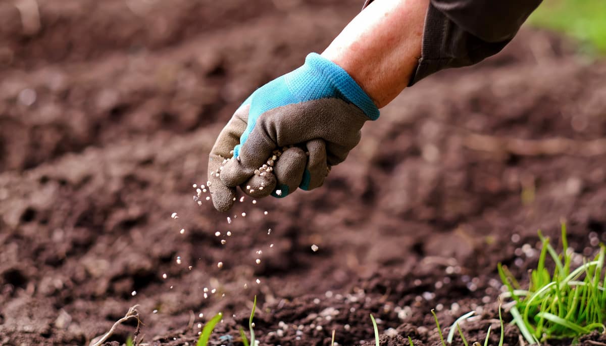 Man applying chemical fertilizer to soil