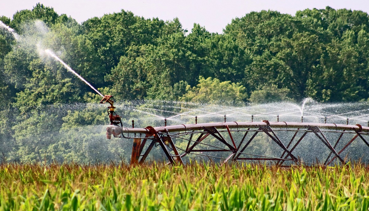 Sistema de irrigação em plantação agrícola