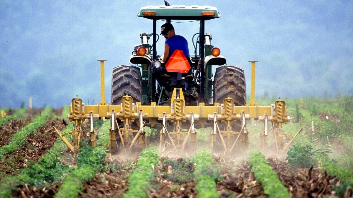 Agricultor arando o solo em área fértil