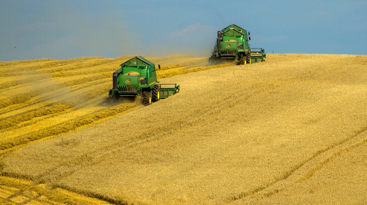 Sæt fart på høstmaskinerne for at undgå tab af afgrøder