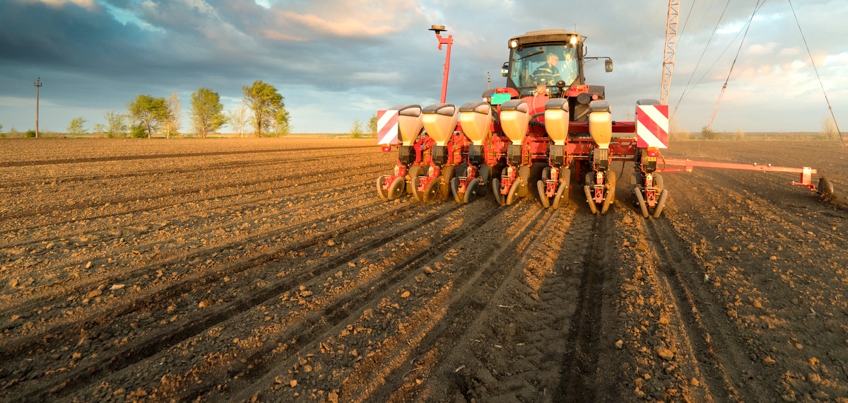 Area sowing to start planting in the off-season