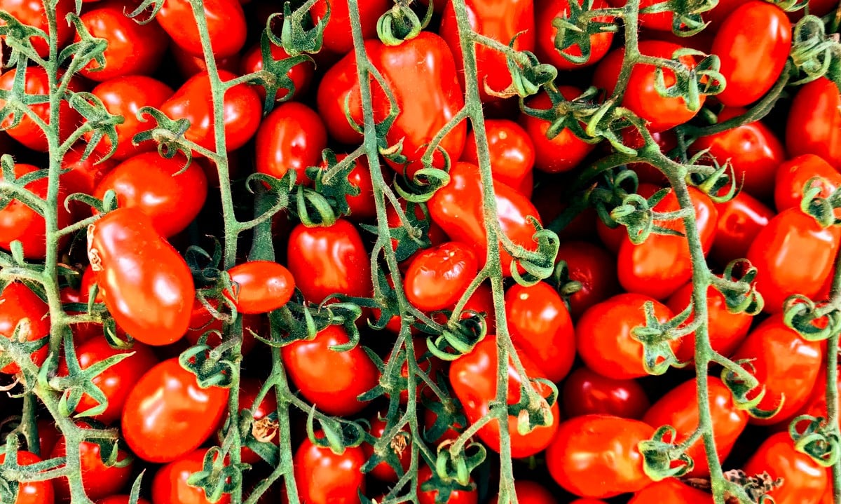 Vielzahl von Tomaten-Spitzen-Optionen