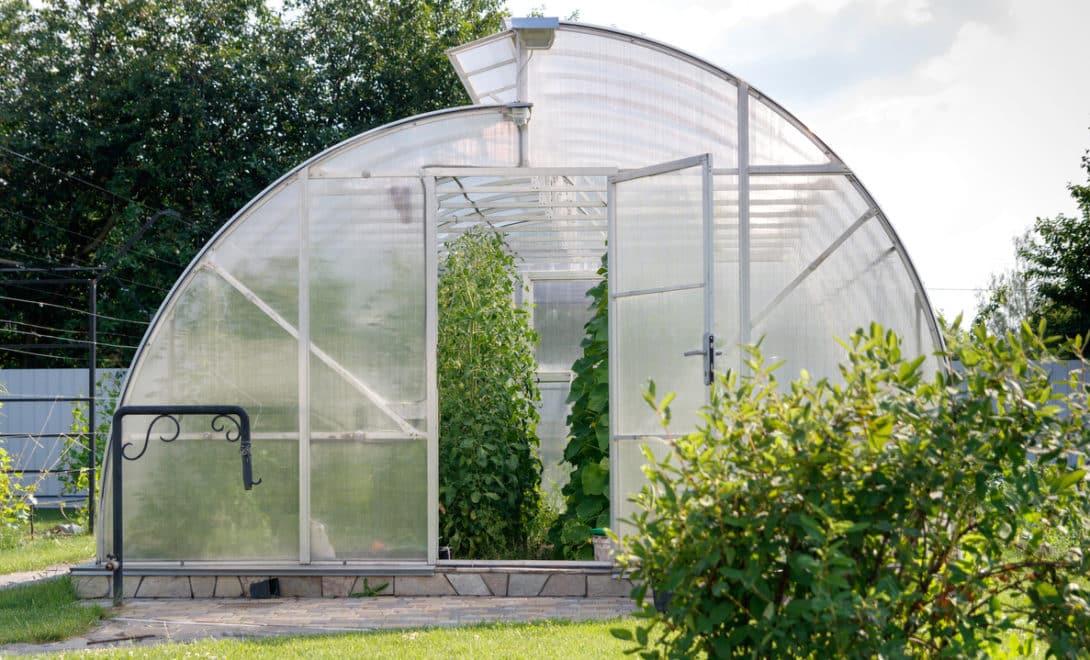 Homemade polycarbonate greenhouse in the back of a house