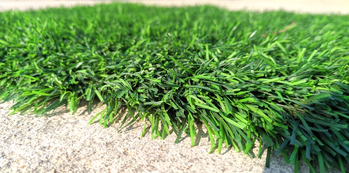 Bermudský typ trávy