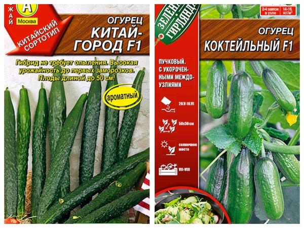 Parthenocarpic hybrids from the company "Aelita" - cucumbers 'Kitai-Gorod' F1 and 'Cocktail' F1. Photo from seedspost.ru
