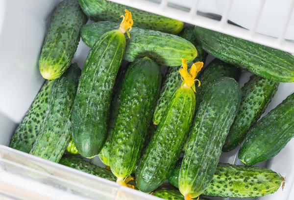 So cucumbers can be stored for several days