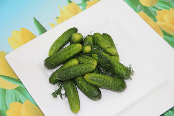 Gishiri cucumbers.  Hoto: Gavrish