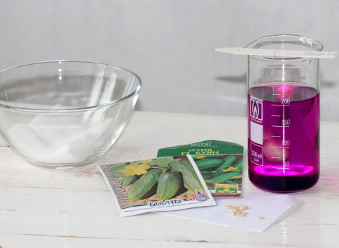 Processing cucumber seeds in a solution of potassium permanganate
