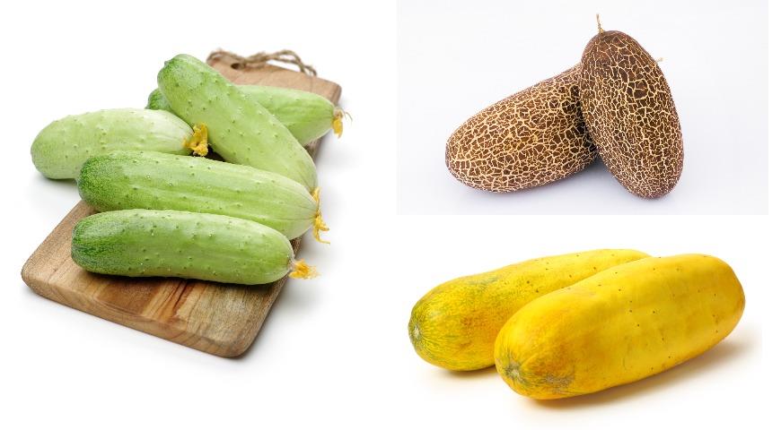 Step-by-step instructions for choosing varieties and hybrids of cucumbers for planting in the country