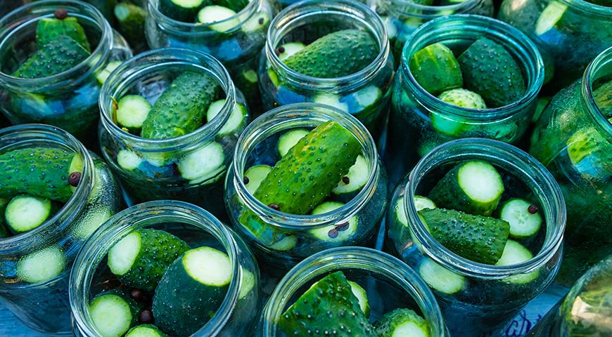 Iri-iri na cucumbers don dasa shuki a cikin greenhouse da bude ƙasa: yadda za a zabi nau'in cucumbers iri-iri don kada a yi takaici.