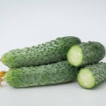 Cucumber April