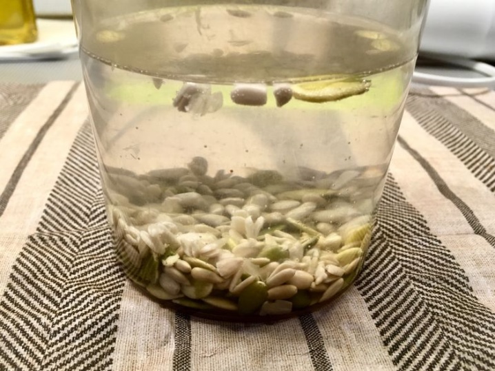 Preparation of cucumber seeds for planting