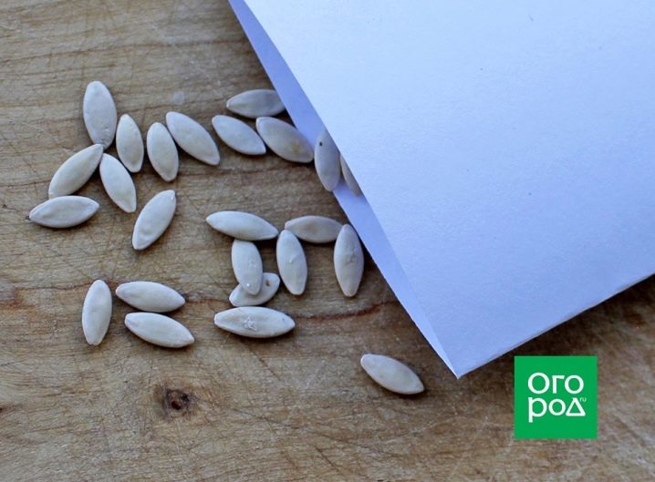 Come ottenere i semi di cetriolo a casa?