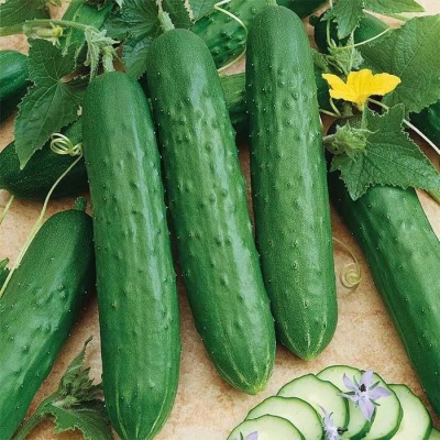 Features na girma cucumbers a cikin 5-lita kwalabe
