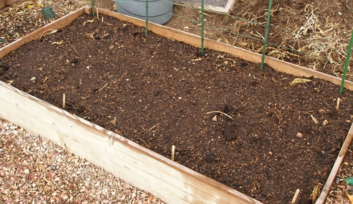 Coltivazione di cetrioli in una serra