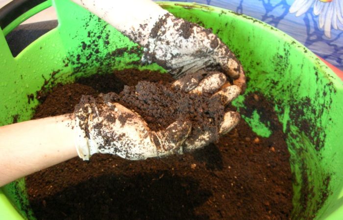 Soil preparation before planting seedlings