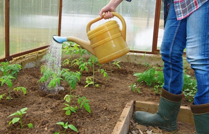 Watering beds from a watering can