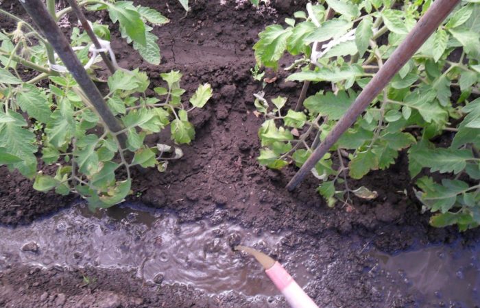 Zalievanie pôdy hnojivom