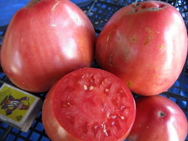 Verschillende grote tomaten