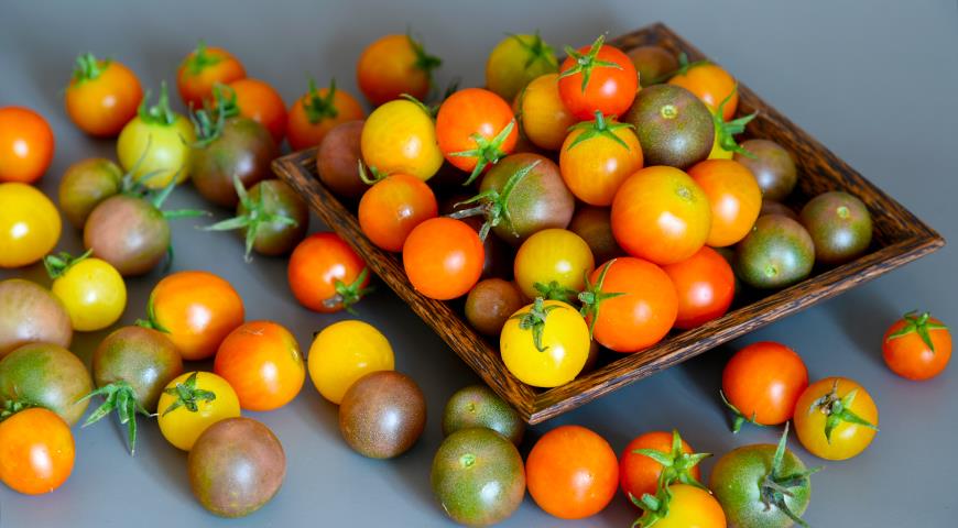 Μαύρη ντομάτα: οι καλύτερες ποικιλίες και υβρίδια μαύρης ντομάτας για φύτευση σε θερμοκήπιο