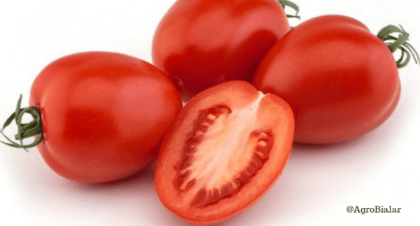 pære tomat