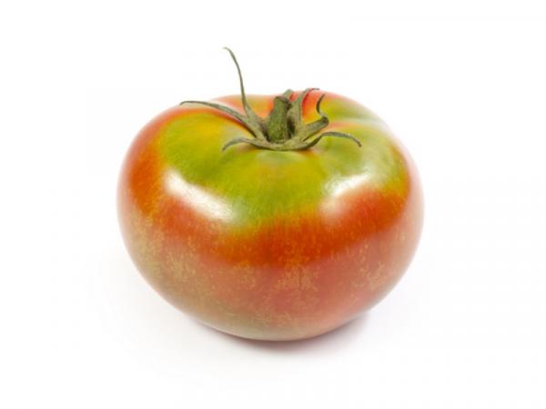 +30 çeşit domates - Yeşil sırtlı domates