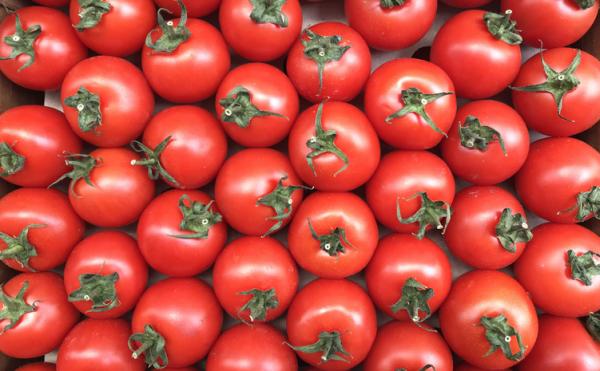+30 typer av tomater - Typer av tomater med få frön: marglobe tomaten