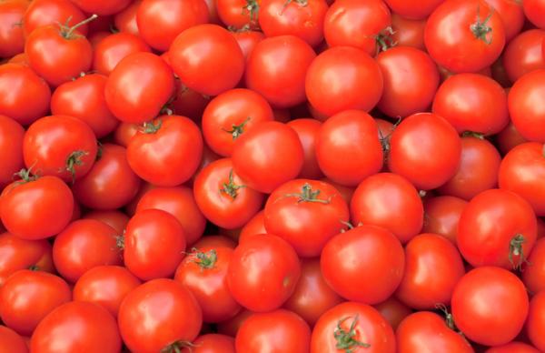 +30 eri tomaattia - Sileä pyöreä tomaatti