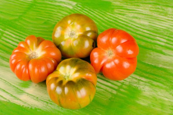 +30 tipos de tomates - Tomate Raf