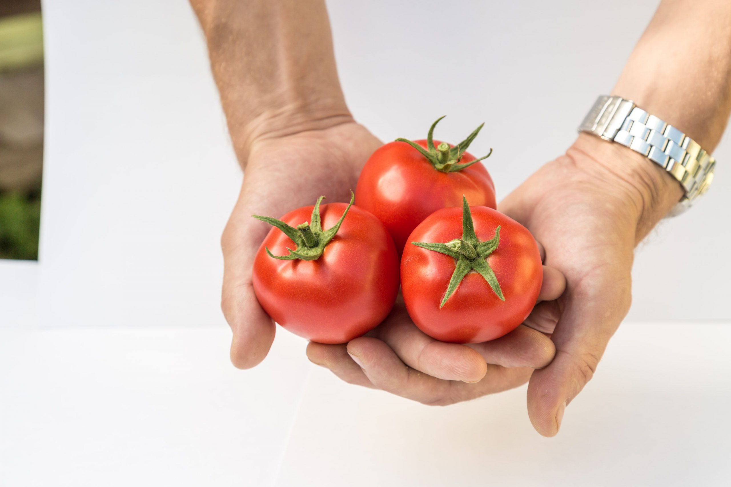 Tomaatti "Lyubasha": lajikkeen kuvaus ja tuotto