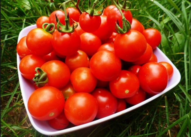 Pomodoro "Lubasha": descrizione e resa della varietà
