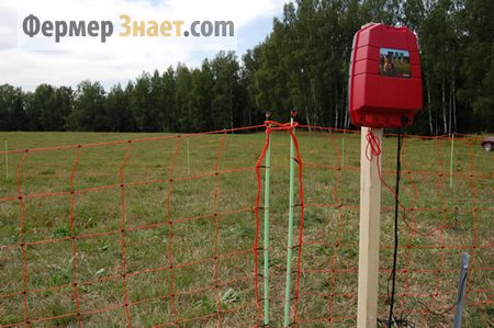 electric fence element