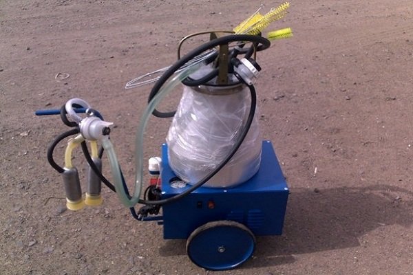 Machine for milking goats ADE-02