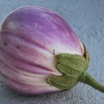 Eggplant "Romanesque"
