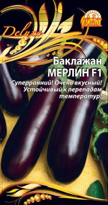 Eggplant "Merlin F1"