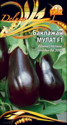 Eggplant "Mulatto F1"