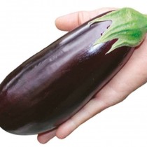 Eggplant "Purple Miracle" F1