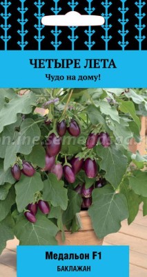 Eggplant Medallion (series Four Summers)