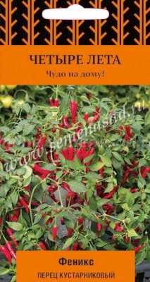 Pepper bush Phoenix (serie Cuatro veranos)