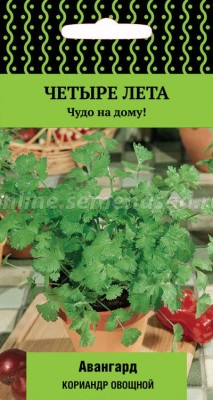 Vanguardia vegetal con cilantro (serie Four Summer)